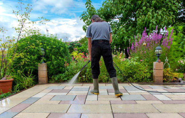 Best Sidewalk and Walkway Cleaning  in Woxall, PA